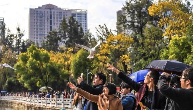 昆明周边的湖有哪些,昆明湖泊翠湖旅游攻略图9