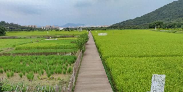 从化云风岭轻奢温泉酒店图12