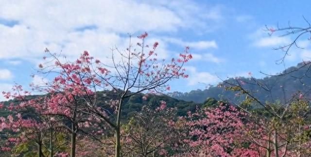 从化云风岭轻奢温泉酒店图17