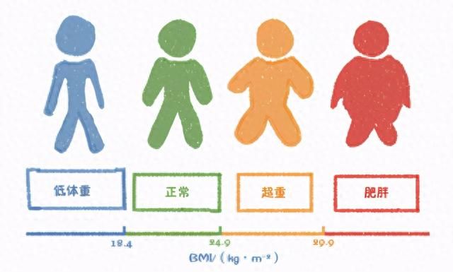 自己的身体质量指数是多少图3