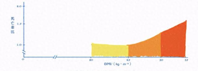 自己的身体质量指数是多少图4