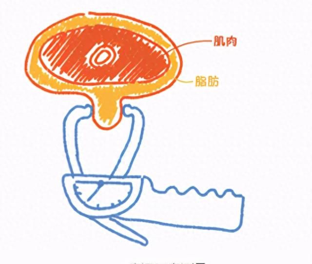 自己的身体质量指数是多少图6