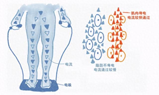 自己的身体质量指数是多少图7