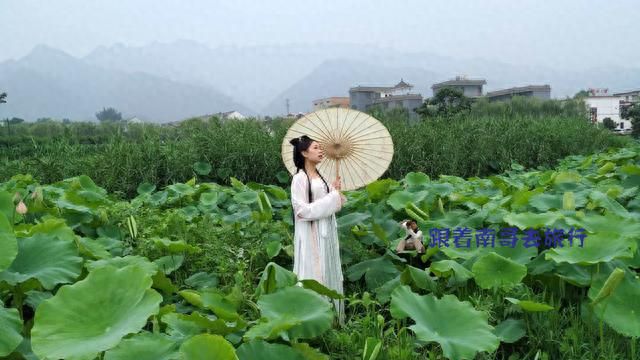 秦岭脚下一种美食被称为神仙粉，竟然是用终南山里的树叶子做成的图1