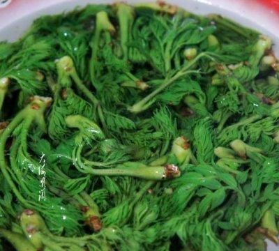 凉拌刺嫩芽跟蕨菜口感一样吗怎么做图4