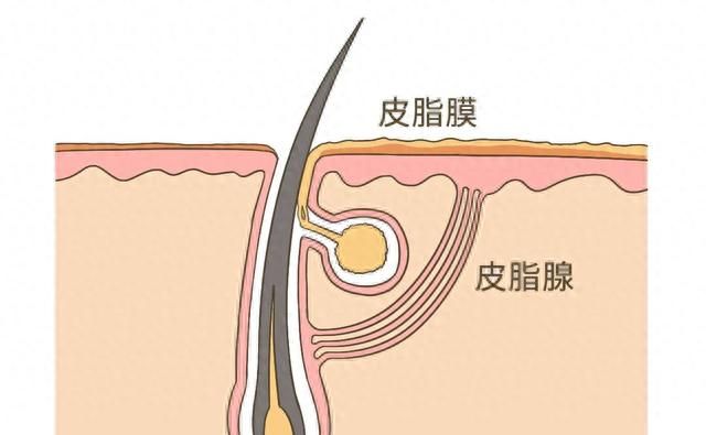 洗澡要不要搓泥多久洗一次,洗澡有必要每天搓泥吗图4