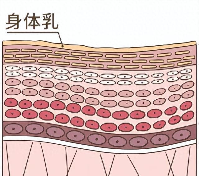 洗澡要不要搓泥多久洗一次,洗澡有必要每天搓泥吗图21