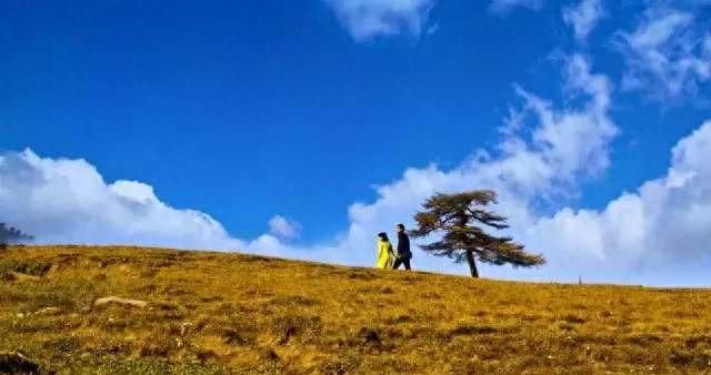 北方的香格里拉山西芦芽山图21