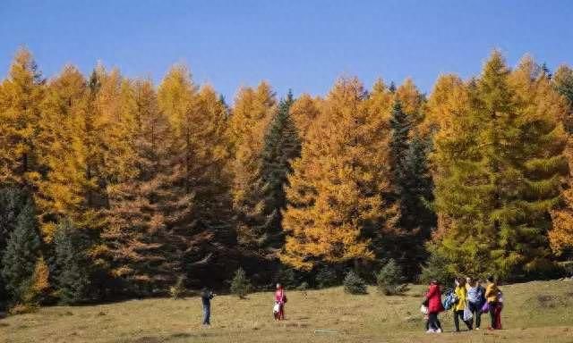 北方的香格里拉山西芦芽山图40