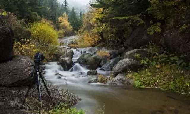 北方的香格里拉山西芦芽山图63