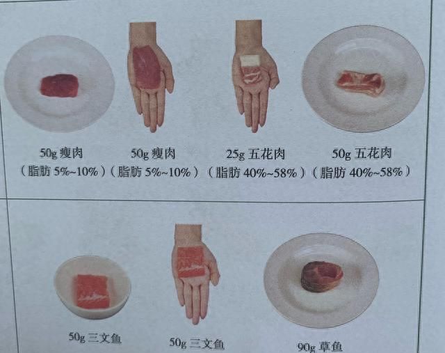 一天吃一斤蔬菜是多还是少(一餐吃一斤蔬菜多吗)图15