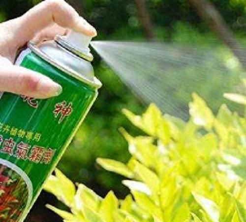 白醋兑水能喷虫子吗(夏天驱小虫妙招)图4