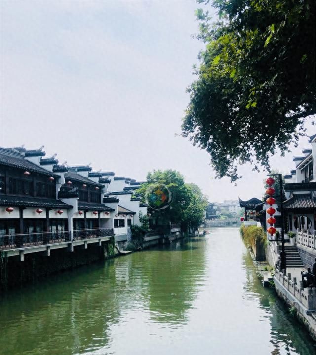 来南京必吃锅贴鸭血粉丝盐水鸭,南京吃的美食推荐盐水鸭图2