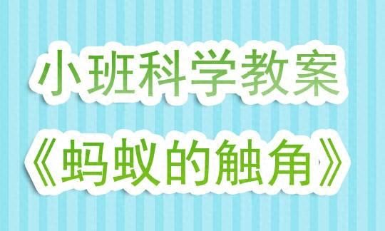 幼儿园小班科学吹泡泡优质课教案图1