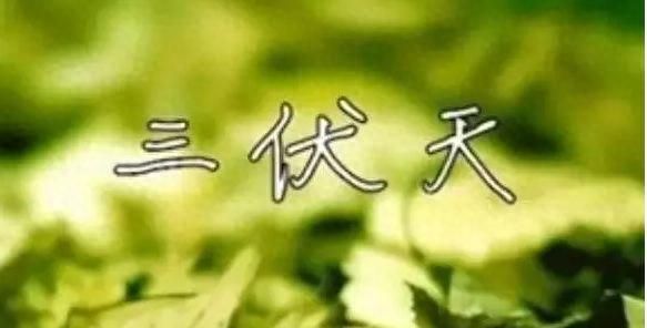 三伏天是什么意思请给我讲一讲(三伏天是什么意思要注意什么)图3