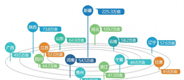 所有的电商都没有的树上熟葡萄，我们有！果肉不止脆嫩，还无核，图9