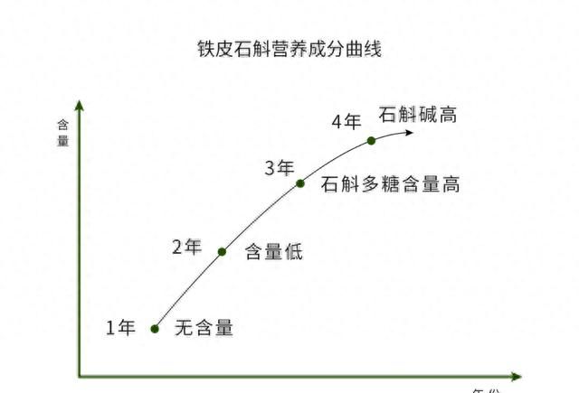 石斛真假辨别,石斛怎样辨真假图13