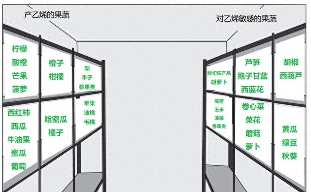 哪些果蔬不能放冰箱,六种菜不能放冰箱保存多久图2