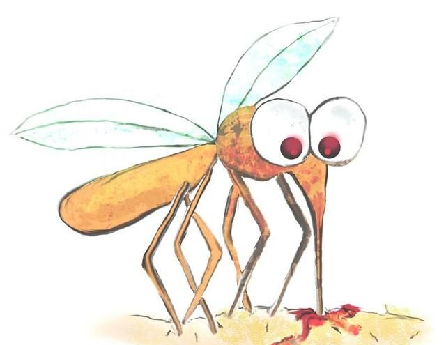 蚊子为什么爱咬你? 真相真的和血型没什么关系!图6