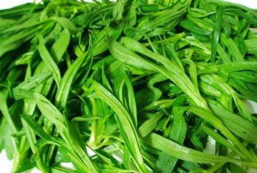 面条菜是什么植物(野菜中的面条菜长什么样)图6