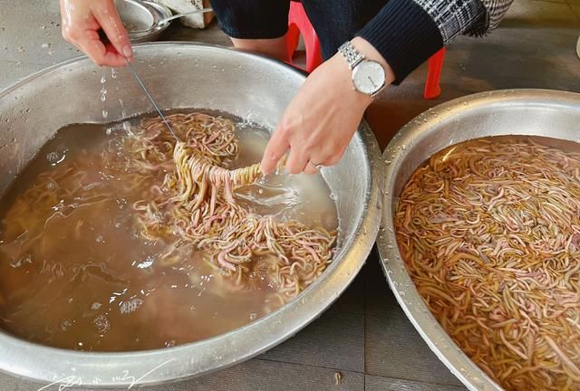 广州市南沙区有什么美食(高颜值的广州美食一看就很有食欲)图6