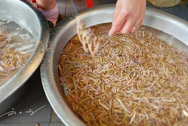 广州市南沙区有什么美食(高颜值的广州美食一看就很有食欲)图7