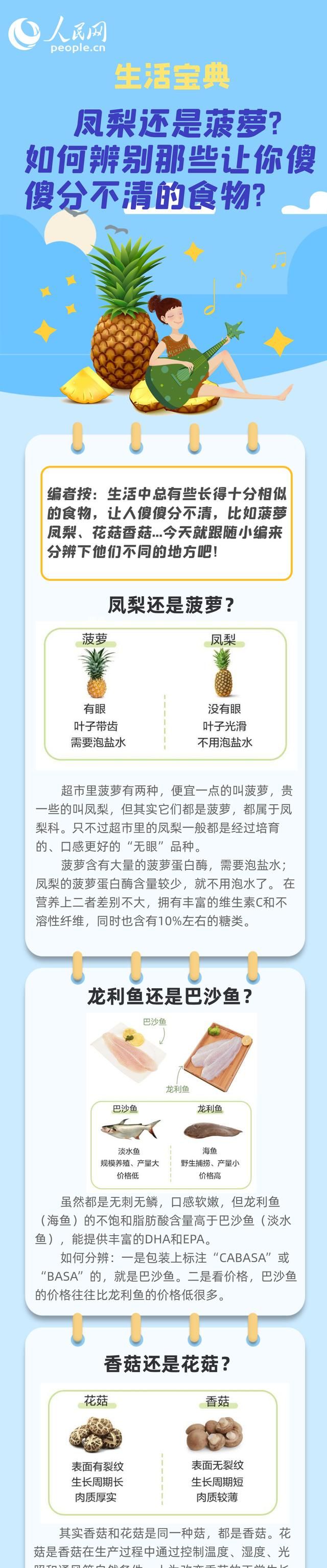 凤梨和菠萝有什么区别?教你一招,轻松识别图1