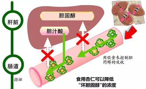 它是胆固醇的克星每天吃一点(胆固醇的克星居然是它)图8