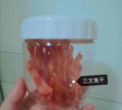 超级无敌简单的宠物食谱图8