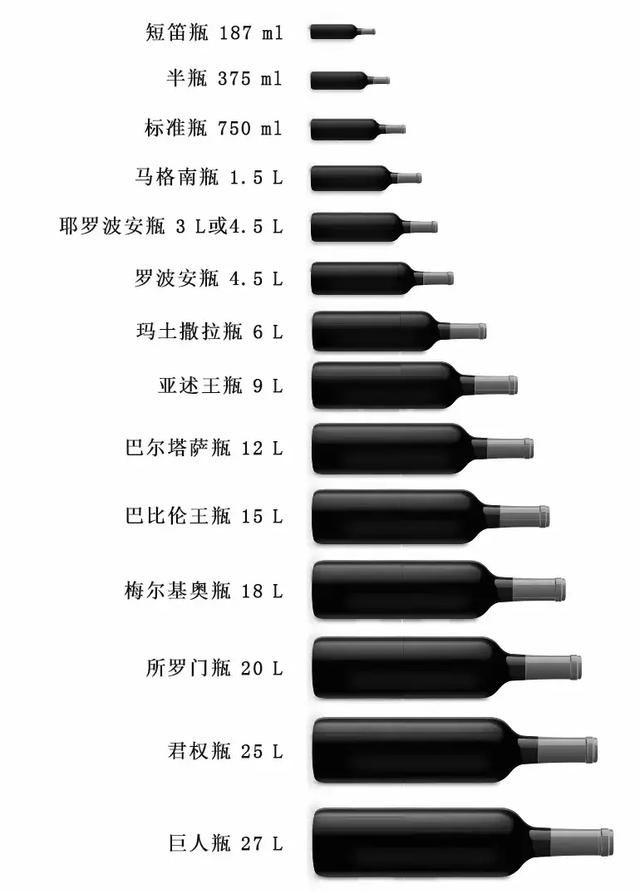 15种葡萄酒瓶容量(葡萄酒瓶种类详解图)图1