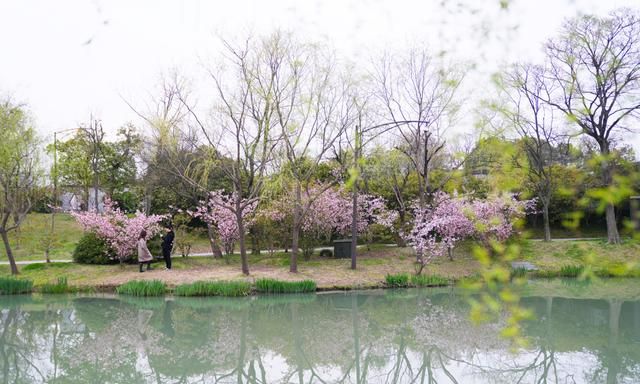 扬州好吃的餐厅推荐(趣园冶春花园茶社)图42