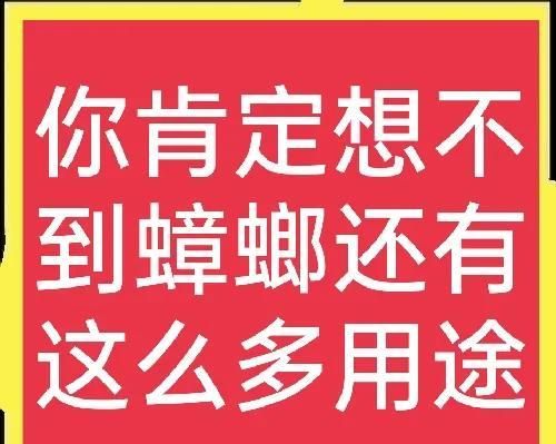 人工饲养蟑螂做什么用(蟑螂养殖是什么原理)图1