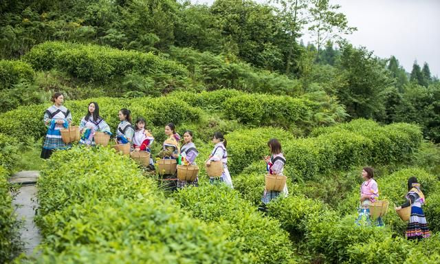 中国夏天最凉快的城市有哪些(中国夏天最凉快的中小城市)图6