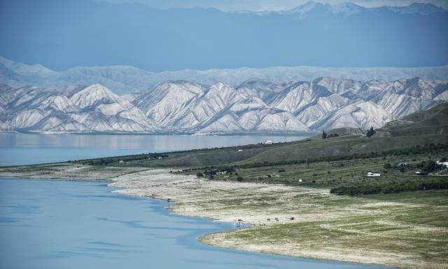 高中生物容易忽略的知识点,高中生物知识要点图1