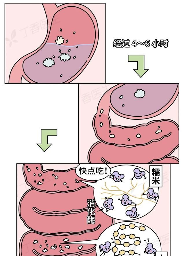 早上吃粽子要多久才能消化完,吃了粽子怎样快速消化肚子图11