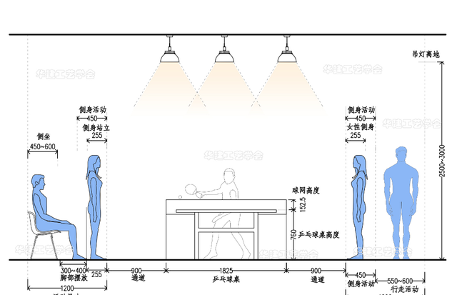 家庭乒乓球室尺寸标准(乒乓球室尺寸标准表)图8