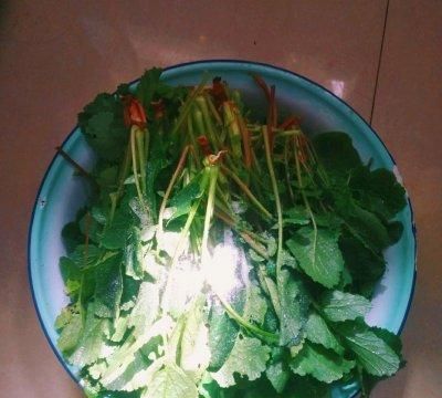 云南德宏傣族腌菜膏(腾冲和顺腌菜和德宏腌菜很像)图5
