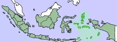 印尼：远离中东，印尼是如何成为穆斯林人口最多国家的？图7