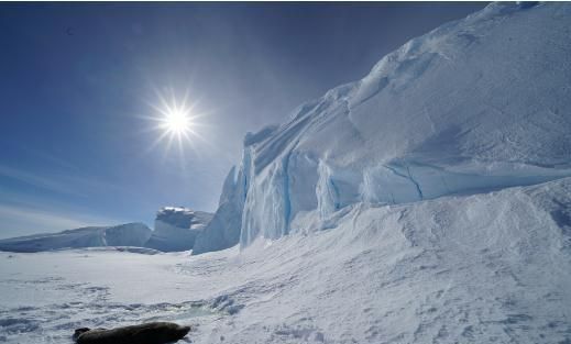 关于南极的12个“冷”知识(南极小企鹅100个冷知识)图1