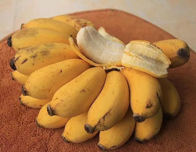 香蕉,芭蕉,米蕉,你吃过哪几种蕉类图1