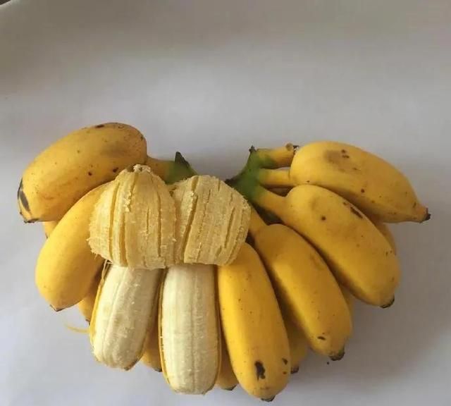 香蕉,芭蕉,米蕉,你吃过哪几种蕉类图3