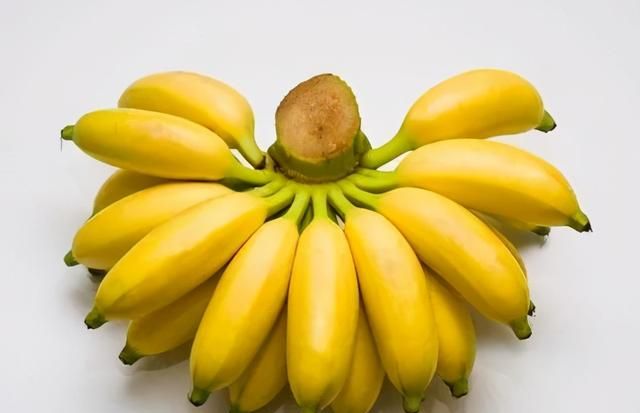 香蕉,芭蕉,米蕉,你吃过哪几种蕉类图5