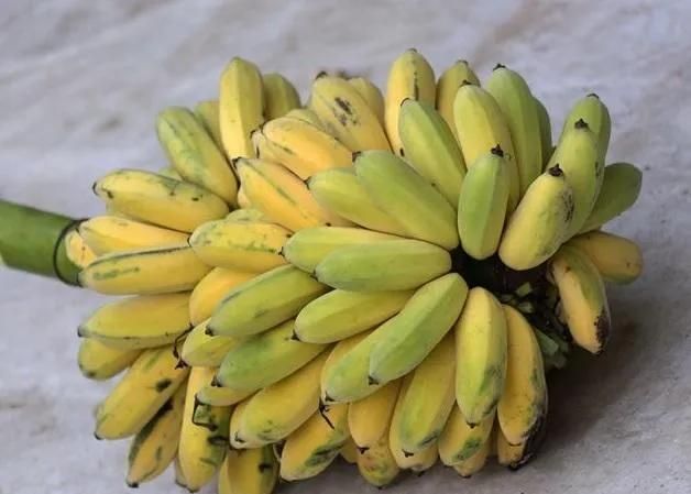 香蕉,芭蕉,米蕉,你吃过哪几种蕉类图14