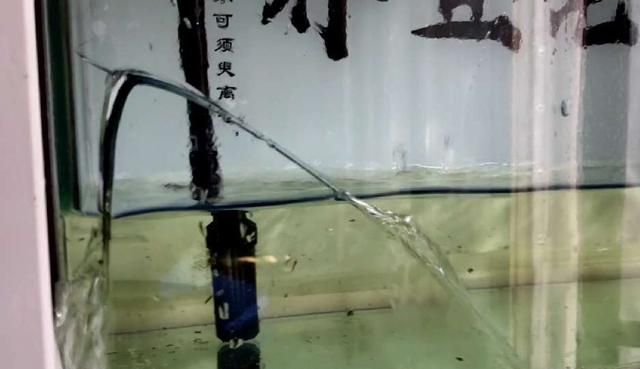 鱼缸漏水如何修补最好方法(陶瓷鱼缸漏水如何修补)图1
