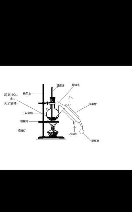 酒精是在哪里提炼出来的