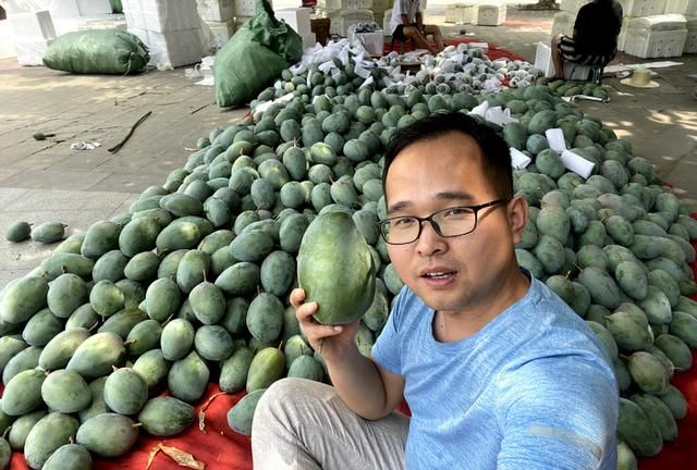 芒果收到没熟怎么办？小董教你2个小技巧，芒果熟得快还好吃