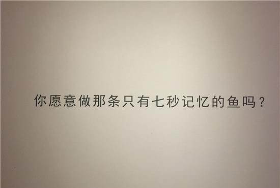 长时记忆的时间是多少
，鱼儿的记忆时间到底有多长啊图1