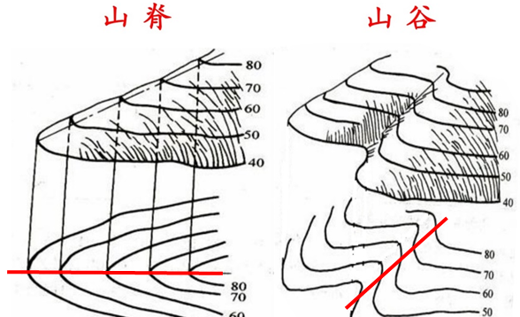 既患寡也患不均——西北降水多少，谁说了算？丨大气悟理