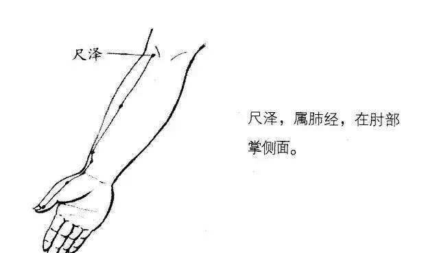 64个中医常用穴位定位口诀，附15个取穴方法，很实用，收藏一下！