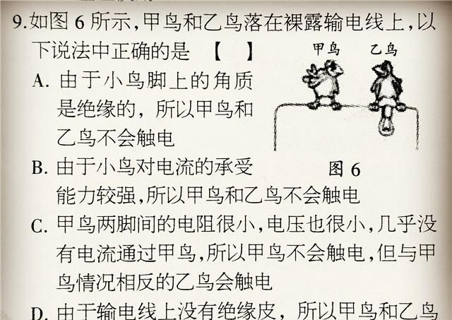 小鸟站在电线上一定不会被电死？终于有道离谱物理题给出了正解！